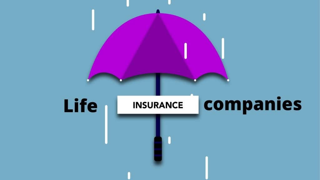 Insurance Companies in India [Updated 2022]: LIC, HDFC, SBI and Bajaj