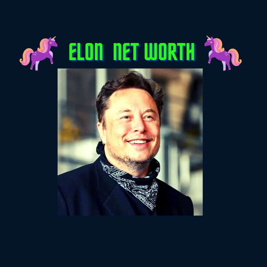 Elon Musk Net Worth| World Richest Man In  Age 51 Creates $219 B
